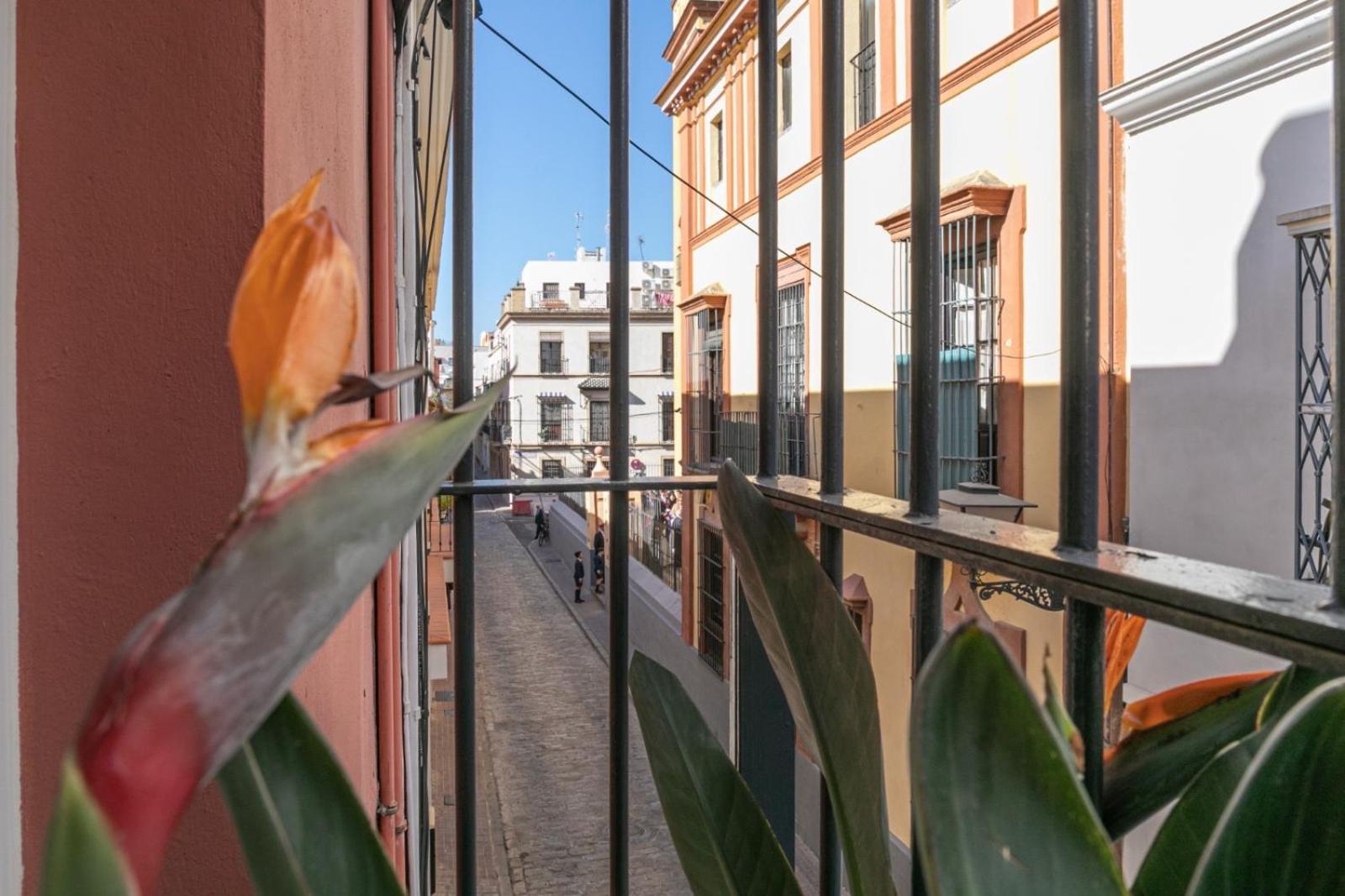 Gotoseville San Bernardo * Siviglia